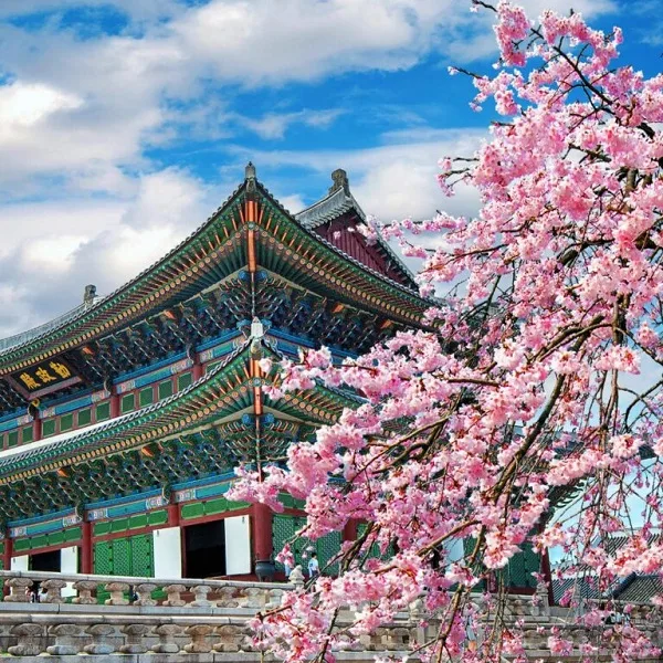 28圈中国官网专注持续优化体验，打造流畅互动空间。，为用户提供专业可靠的体验。 - 28圈中国官网