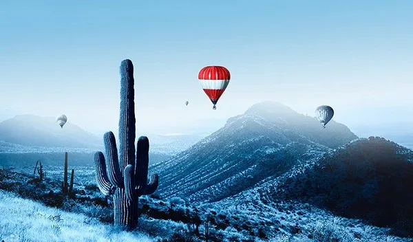 (Flights) - Great Service. Great Value. Great Flying. - 28圈中国官网